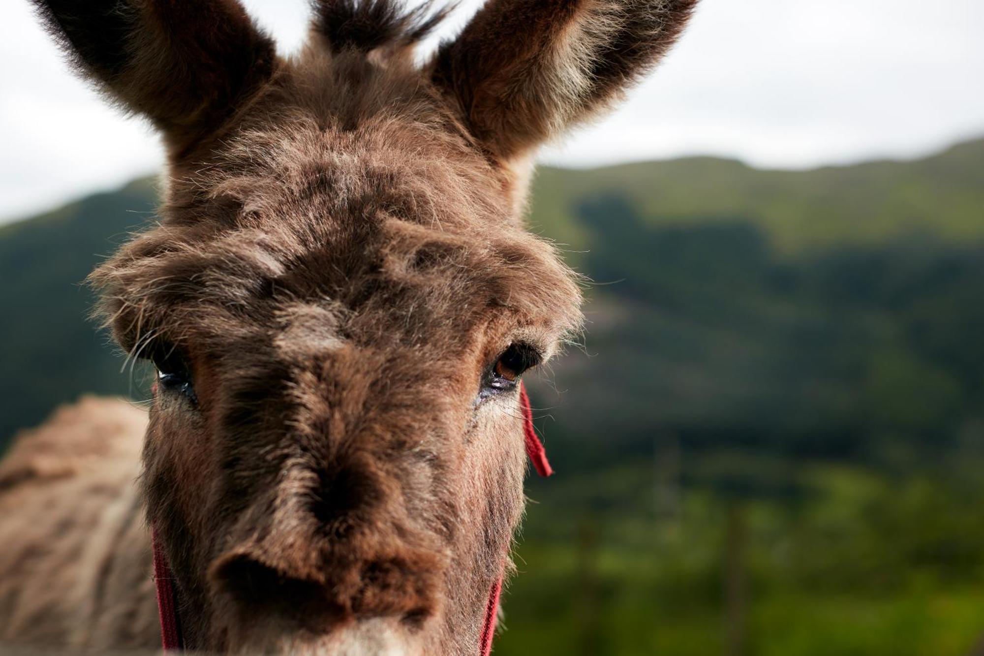 Monachyle Mhor Hotel Lochearnhead Luaran gambar