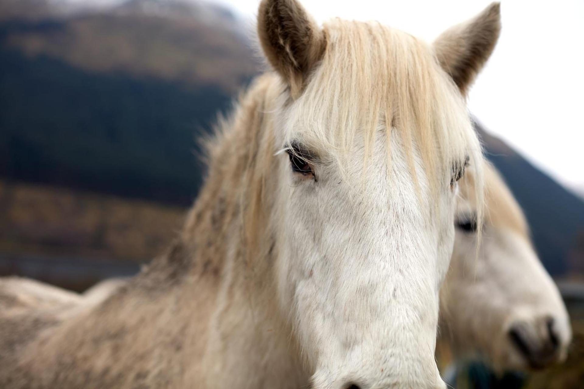 Monachyle Mhor Hotel Lochearnhead Luaran gambar