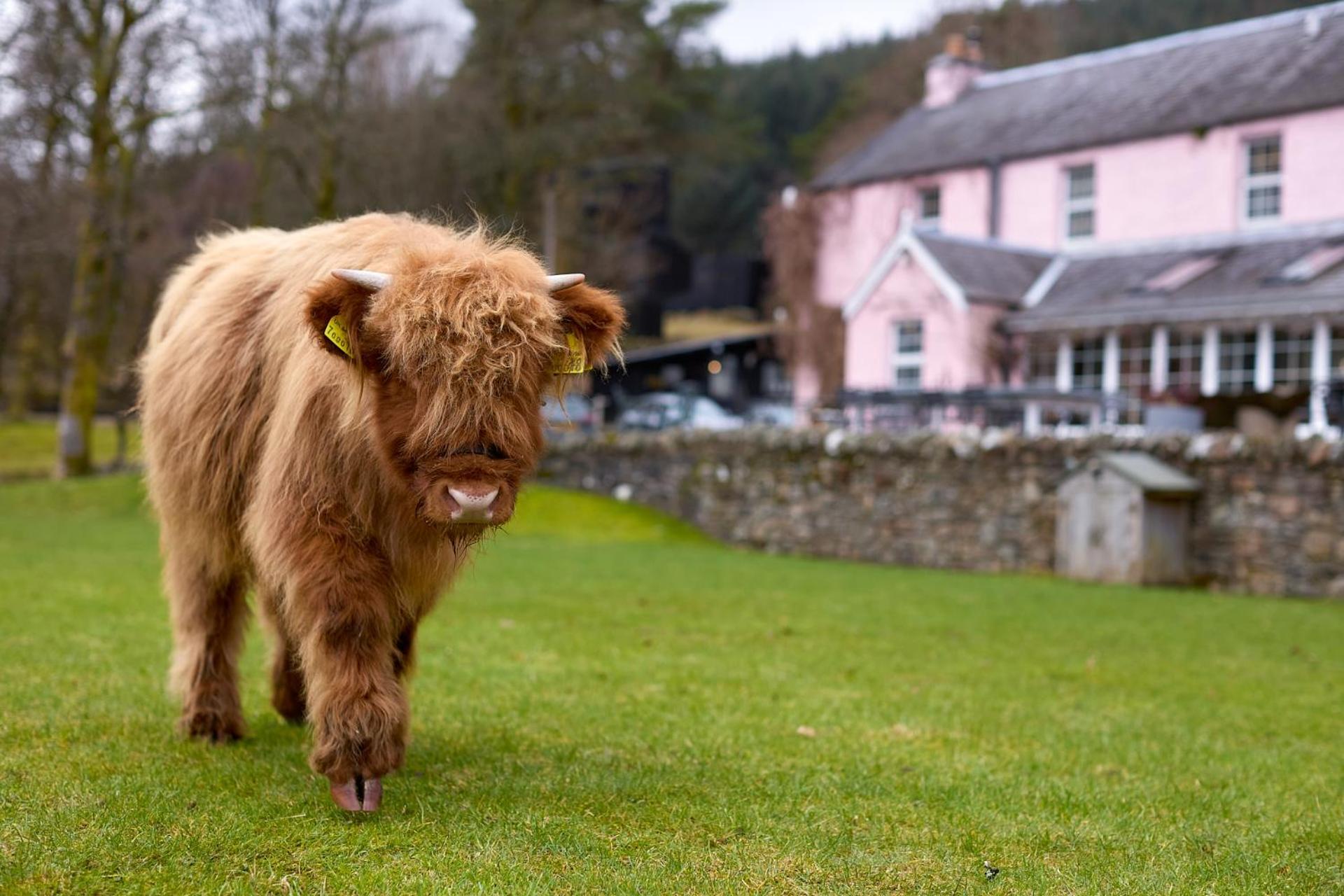 Monachyle Mhor Hotel Lochearnhead Luaran gambar